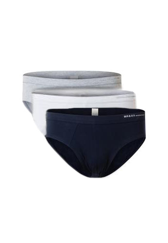 Briefs