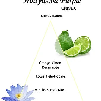 Hollywood Purple