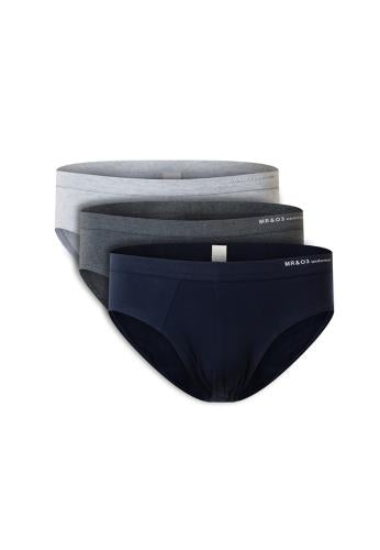 Briefs