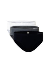 Briefs