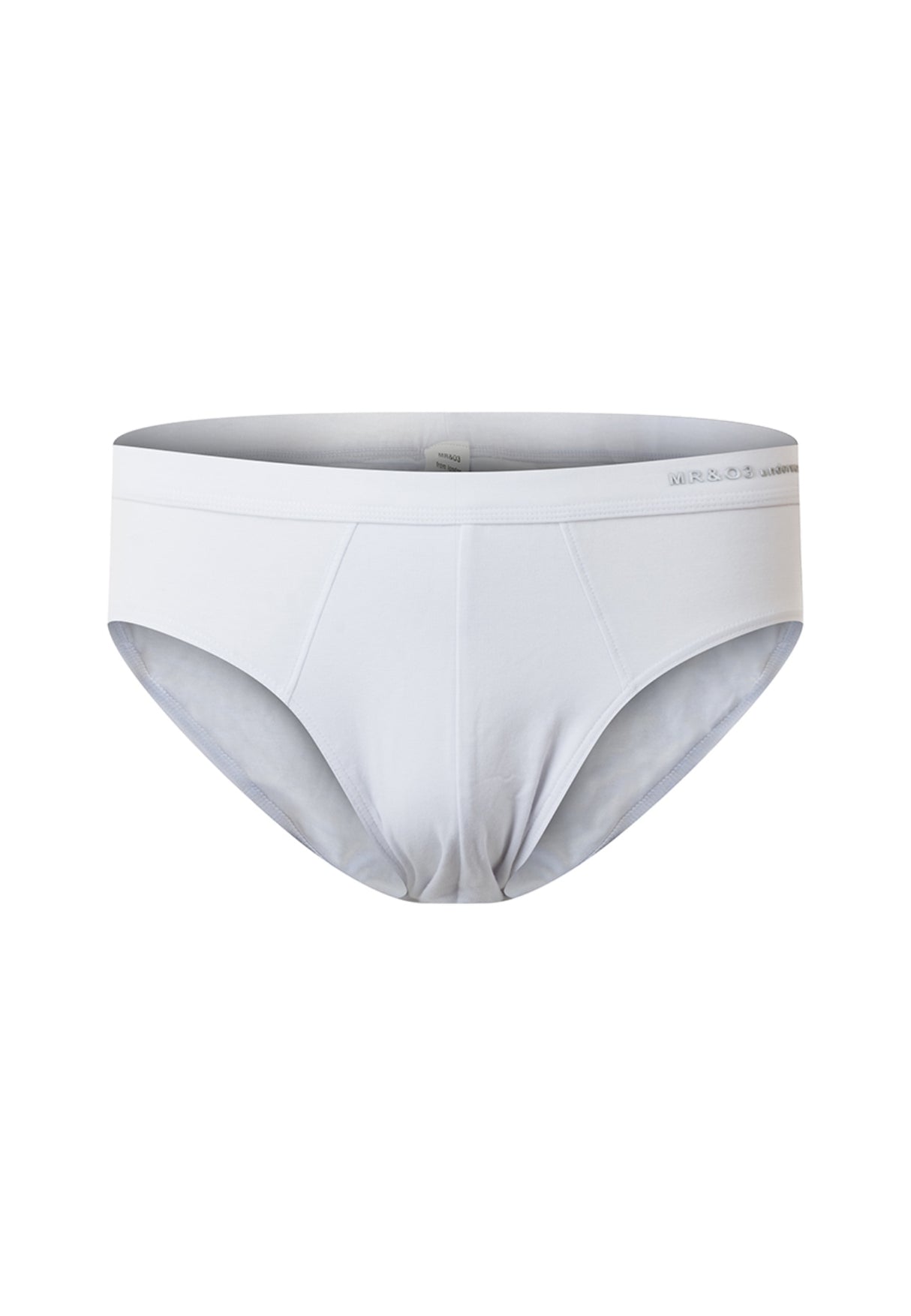 Briefs