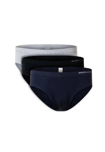 Briefs